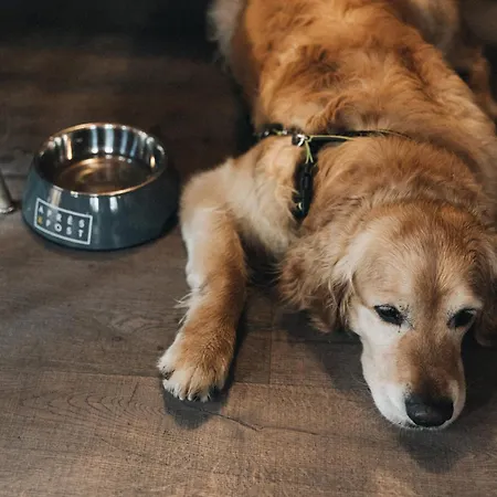 ホテル Apres Post シュトゥーベン・アム・アールベルク