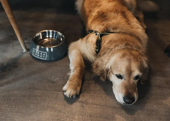 Hotel Apres Post Stuben am Arlberg
